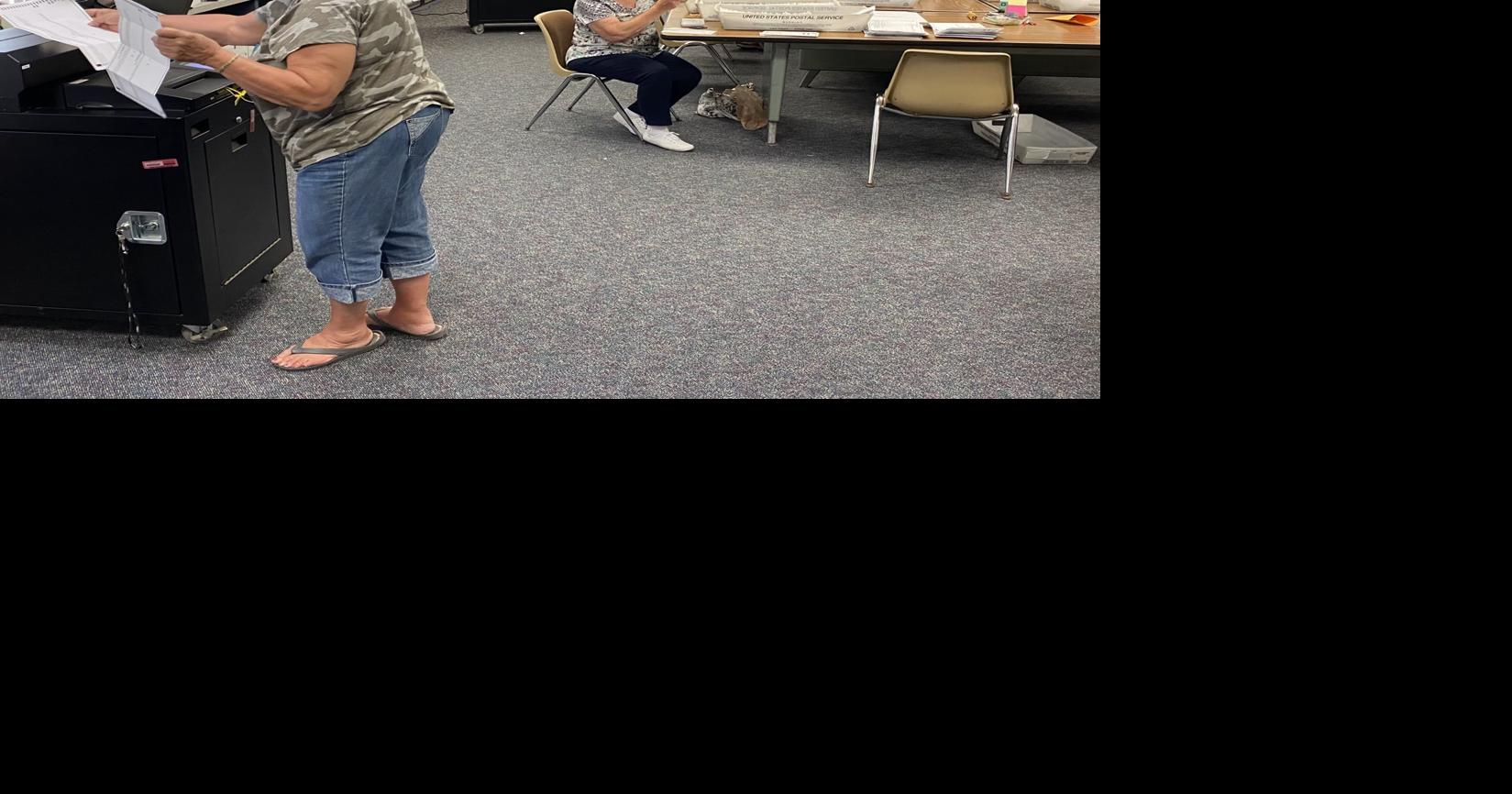 Cayuga Countyarea 2020 school vote Budget, special proposition, board