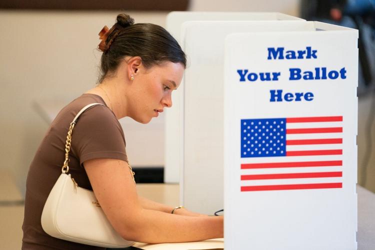 Primary Voting Lafayette (copy)