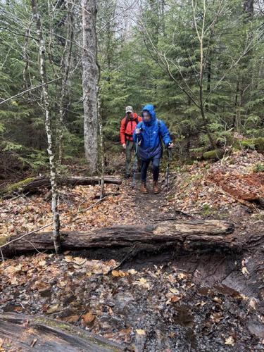DEC Forest Rangers - Week in Review