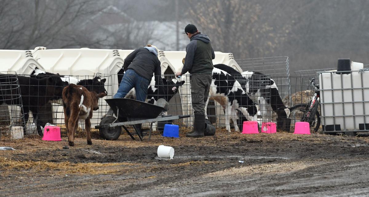 Farm Workers