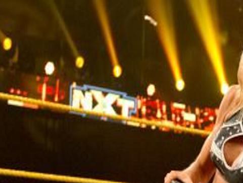 Interaktion oversøisk hierarki WWE: Why Charlotte, not AJ Lee, should challenge Nikki Bella for Divas  Championship | Powerbomb Post | auburnpub.com