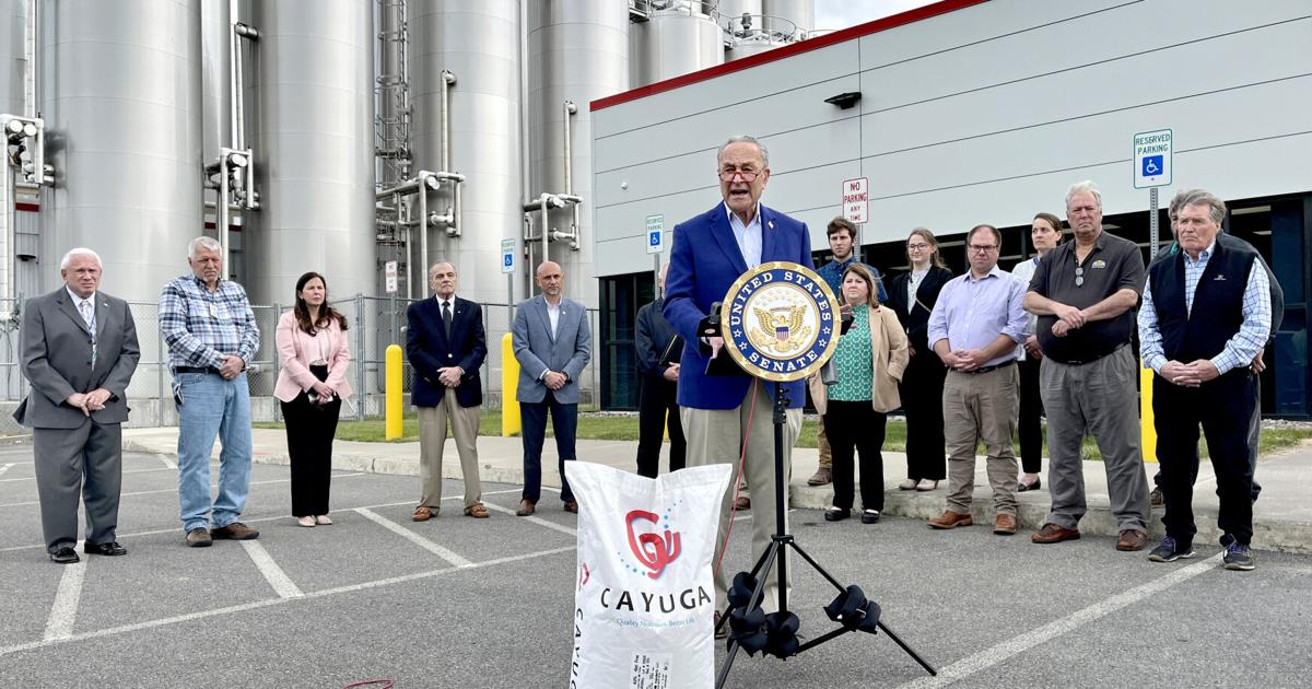 Schumer visits Cayuga County, warns of 'dairy cliff' if milk safety net expires