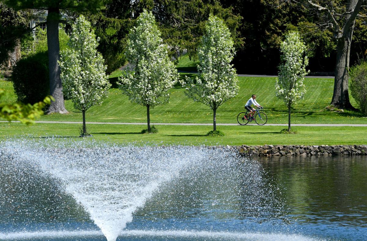 Walk to Remember to return to Auburn park