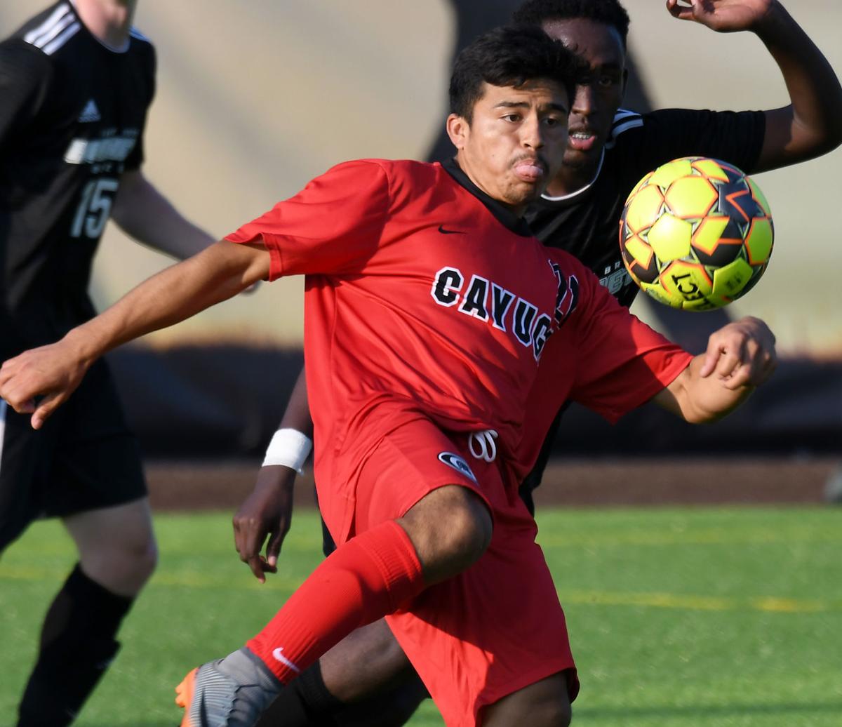 Cayuga's baseball, softball and men's soccer teams receive accolades