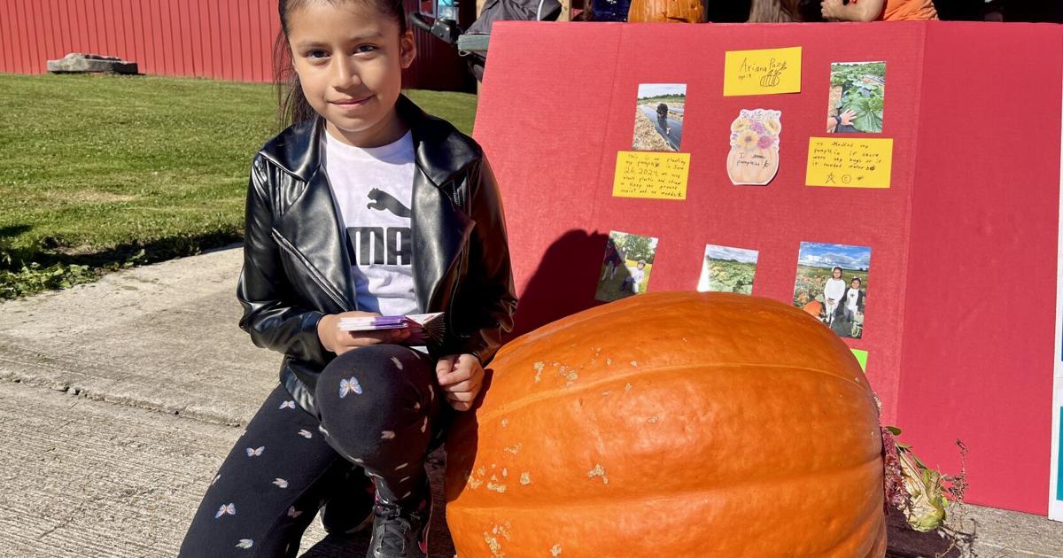 Cayuga County youth vying to grow the biggest pumpkin