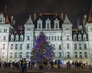 New York Seeking Special Spruces For Albany Christmas Tree Displays Local News Auburn Ny Auburnpub Com Auburnpub Com