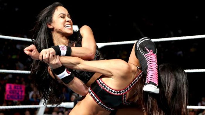 aj lee nikki bella