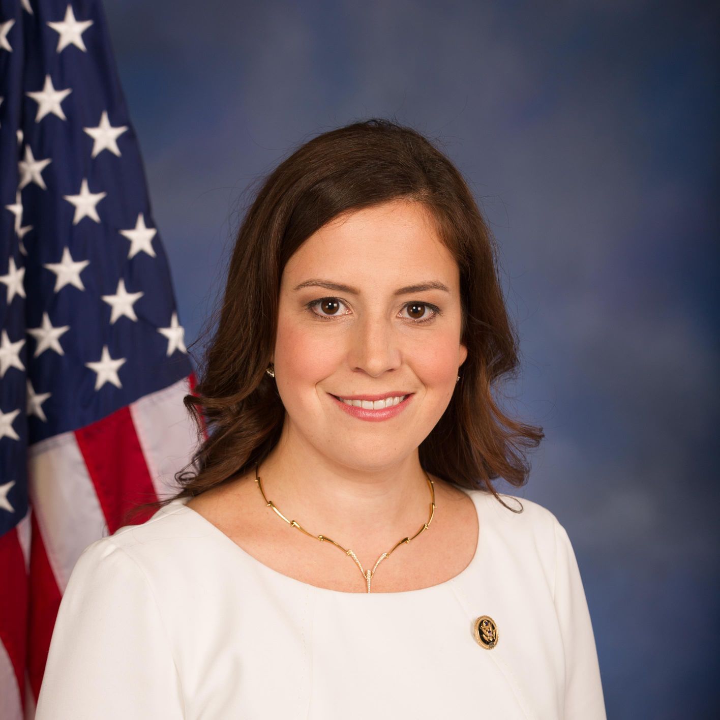 GOP County Committees Endorse Rep. Elise Stefanik Despite Paladino's ...