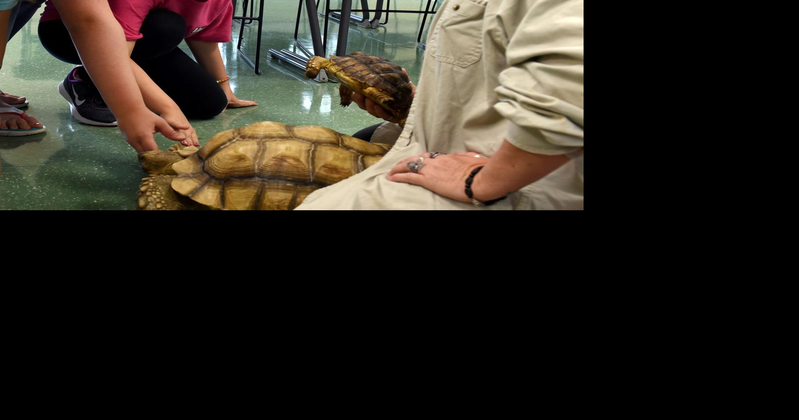 Little learners Cayuga Community College summer classes cover video