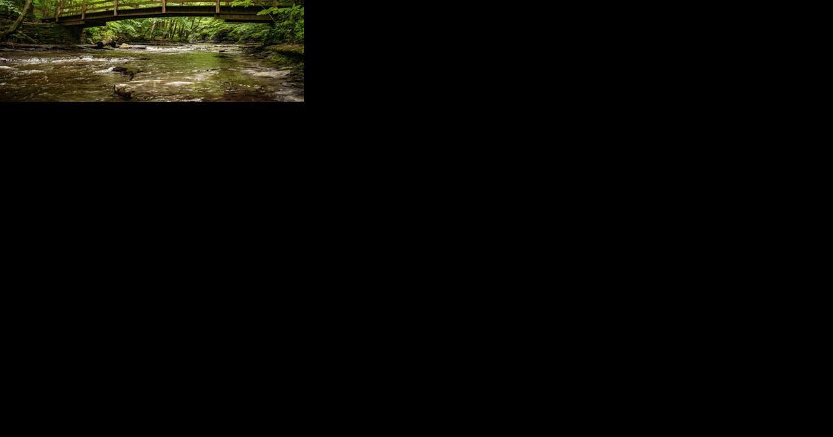 Cayuga County tourism: Embracing the joy of spring - Vimarsana News