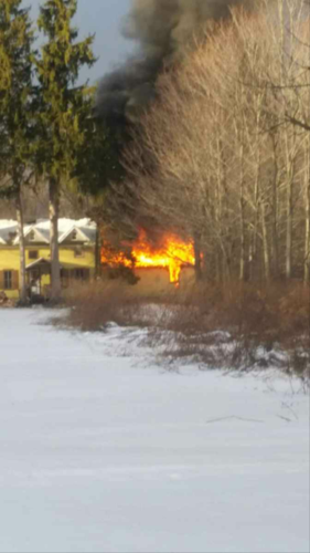 Family dog dies in Victory house fire