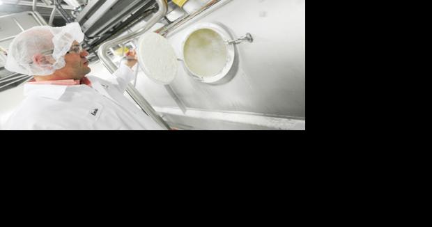 Ellis leaving Cayuga Milk Ingredients to become Upstate Niagara CEO - Vimarsana News