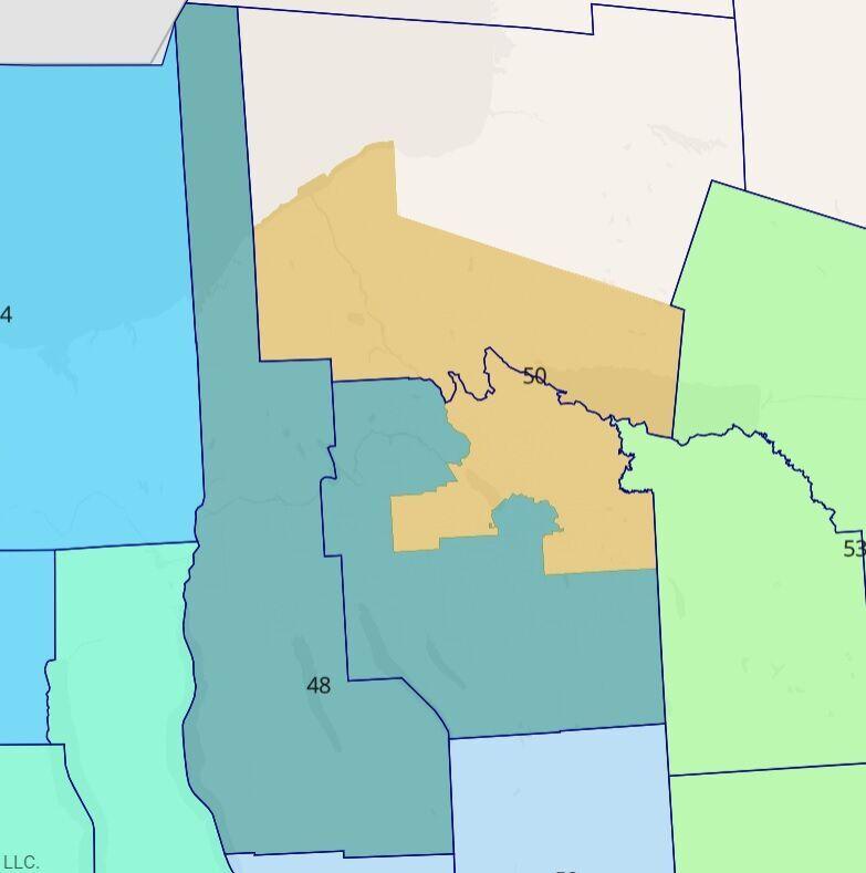 Cayuga County kept whole in final NY congressional, state Senate