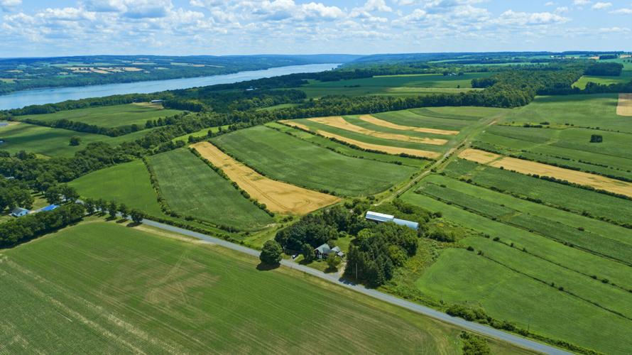 Pair of Cayuga County land conservation deals called a win for Owasco Lake