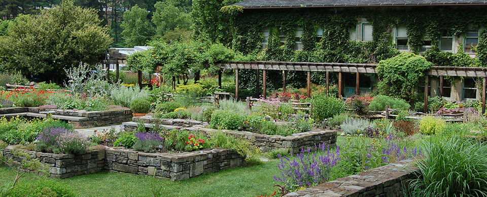 Cosentino: Cornell Plantations site of a splendid summer evening