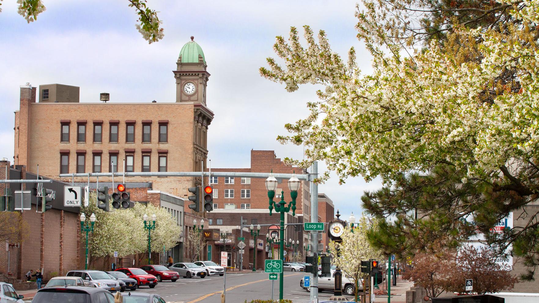 CEDA: Springing Auburn's economy forward - Vimarsana News