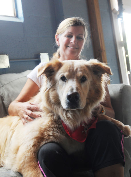 stay and play doggy daycare