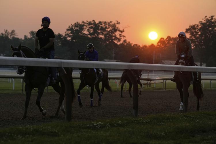 Belmont Horse Racing