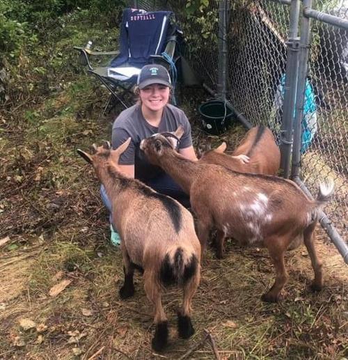 Goats