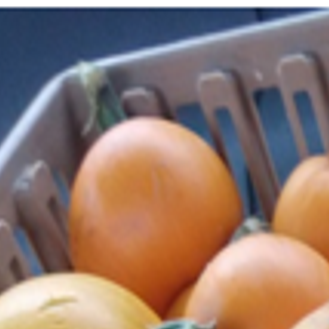 Cayuga Seneca Community Action Agency Our Partners In Providing Food Lifestyles Auburnpub Com