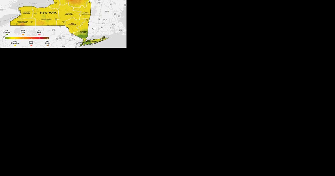 New York state fall foliage report: Sept. 27-Oct. 3 - Vimarsana News