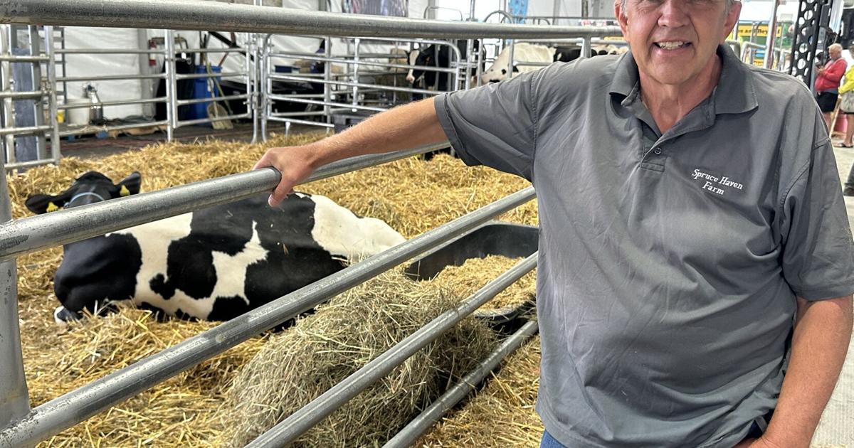 Cayuga County farm welcomes calves in return to NY State Fair's Dairy Cow Birthing Center