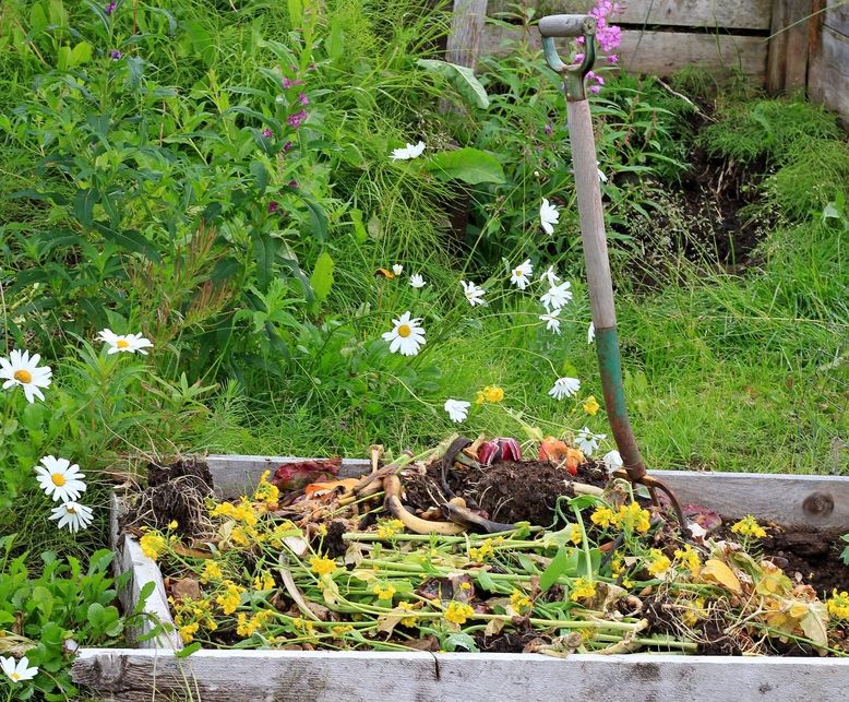 Eco Talk How to compost without attracting critters