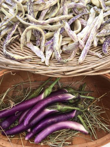 Skaneateles Farmers Market adds second certified organic, the Porter's Black Brook Farm