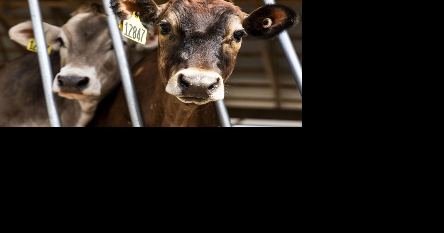 Western NY farms can apply for up to $25K in tariff relief