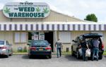 Unlicensed New York pot shops previously raided stay open