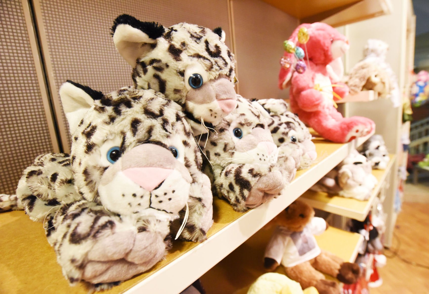 stuffed toy shop