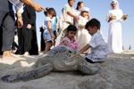 Climate UAE Sea Turtles