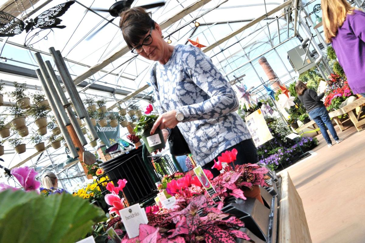 Va Va Bloom Thousands Celebrate Spring At Owasco Garden Center S