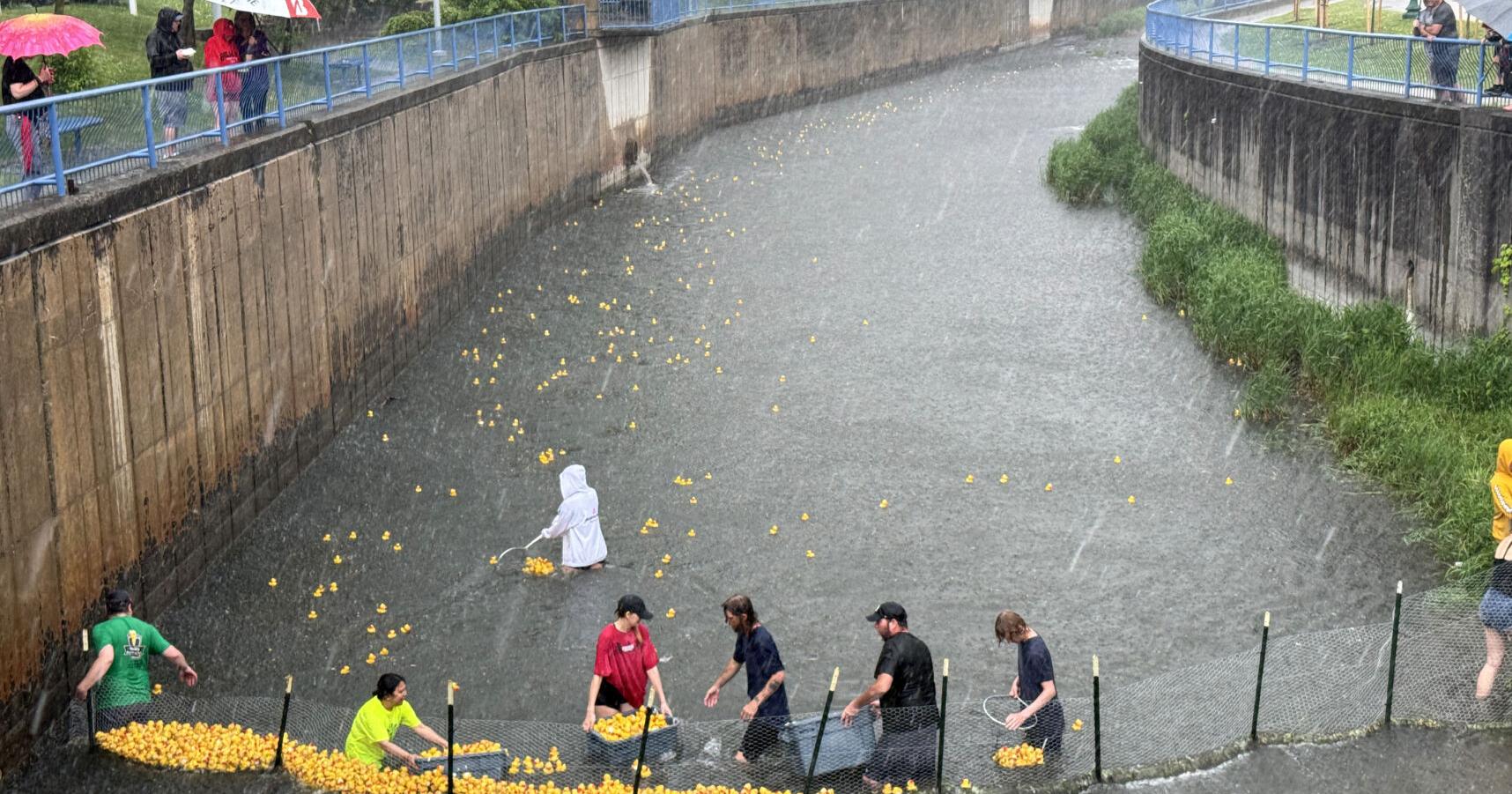Auburn Duck Derby's 2,000 missing racers mostly recovered - Vimarsana News