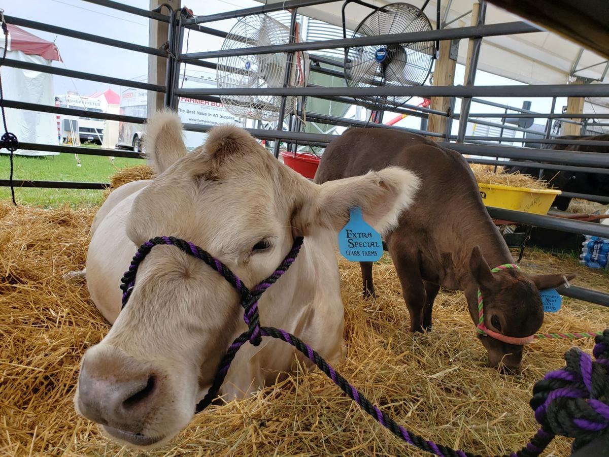 Empire Farm Days in Seneca Falls hosts new hemp center