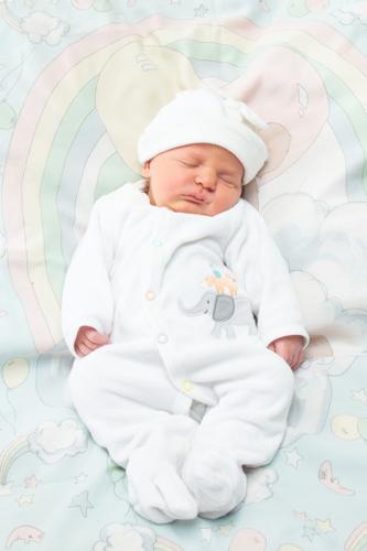 Oliver-2693.jpg