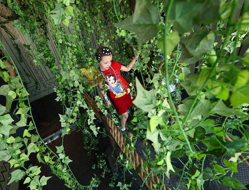 NYS Fair sets new attendance record for second straight day