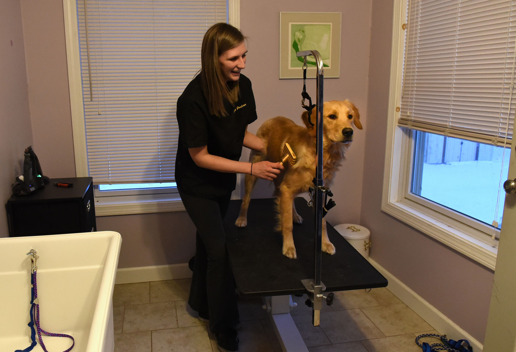 dog grooming parlor