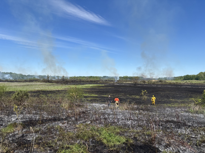 DEC Forest Rangers – Week in Review