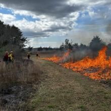 DEC Forest Rangers - Week in Review