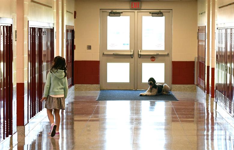 A helping paw Dogs help students relax, behave at Southern Cayuga schools