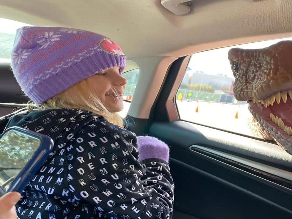 Drive Thru Attraction Dino Safari Coming To Nys Fairgrounds Entertainment Auburnpub Com