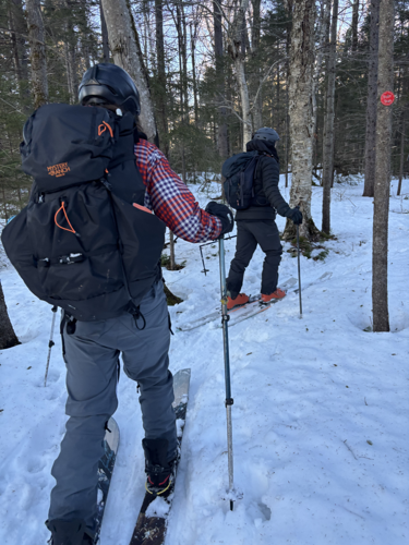DEC Forest Rangers - Week in Review