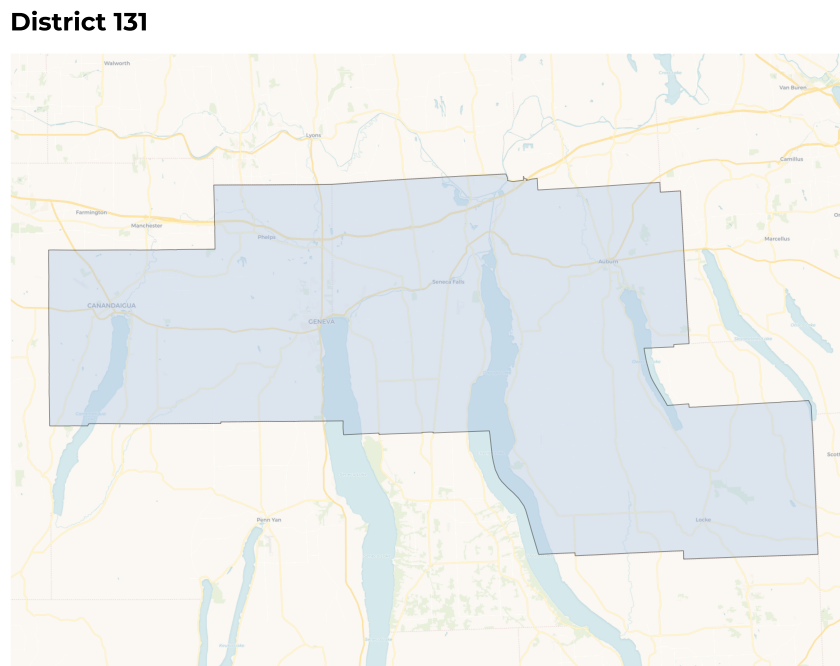 Draft maps would shake up Cayuga County&rsquo;s NY Assembly districts