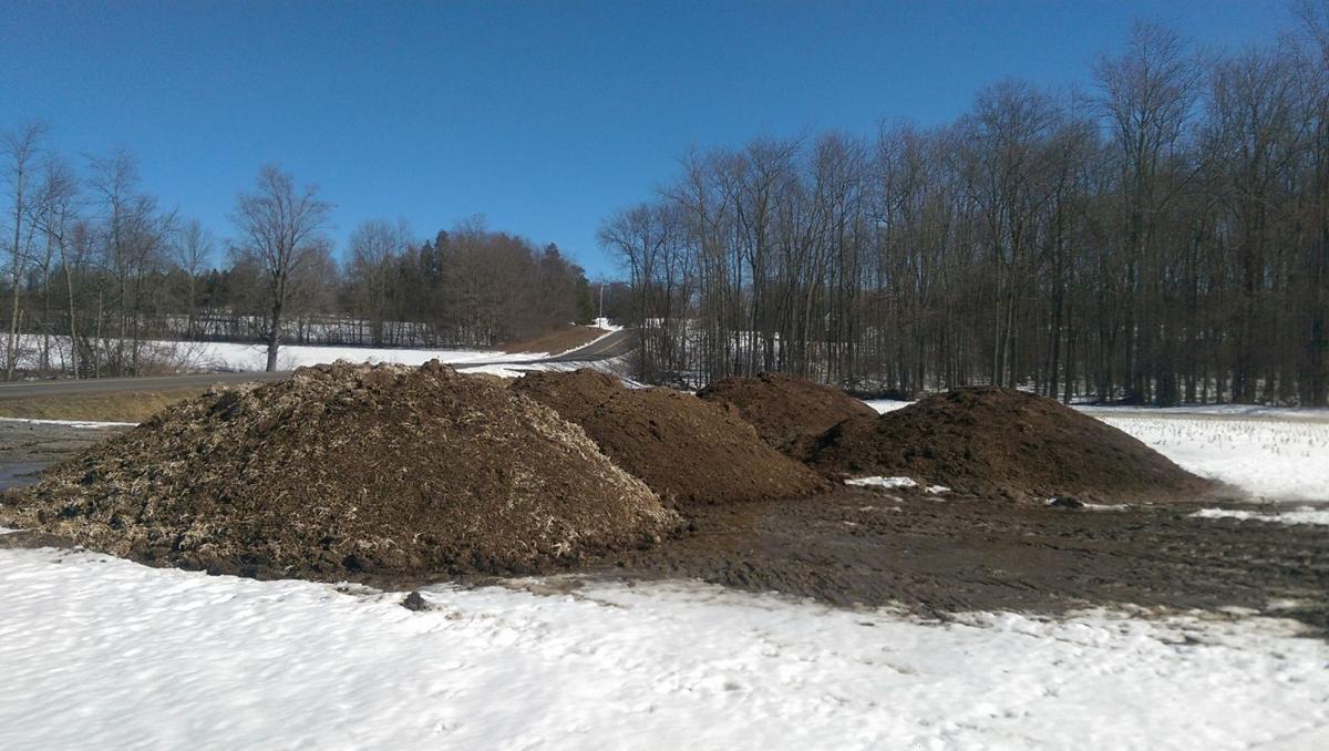 Chicken manure