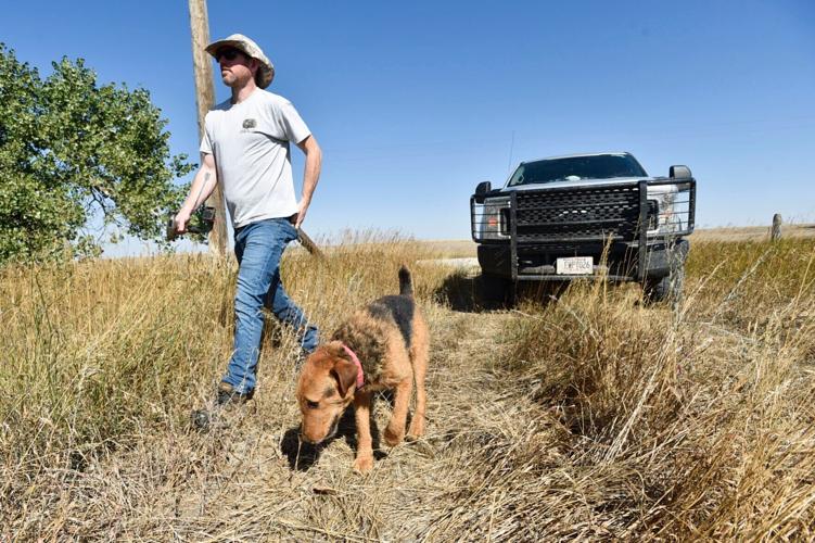 on the job with his airedale terrier named Gum