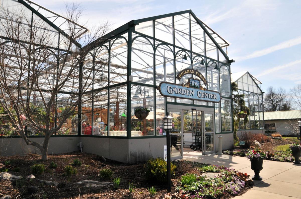 Va Va Bloom Thousands Celebrate Spring At Owasco Garden Center S