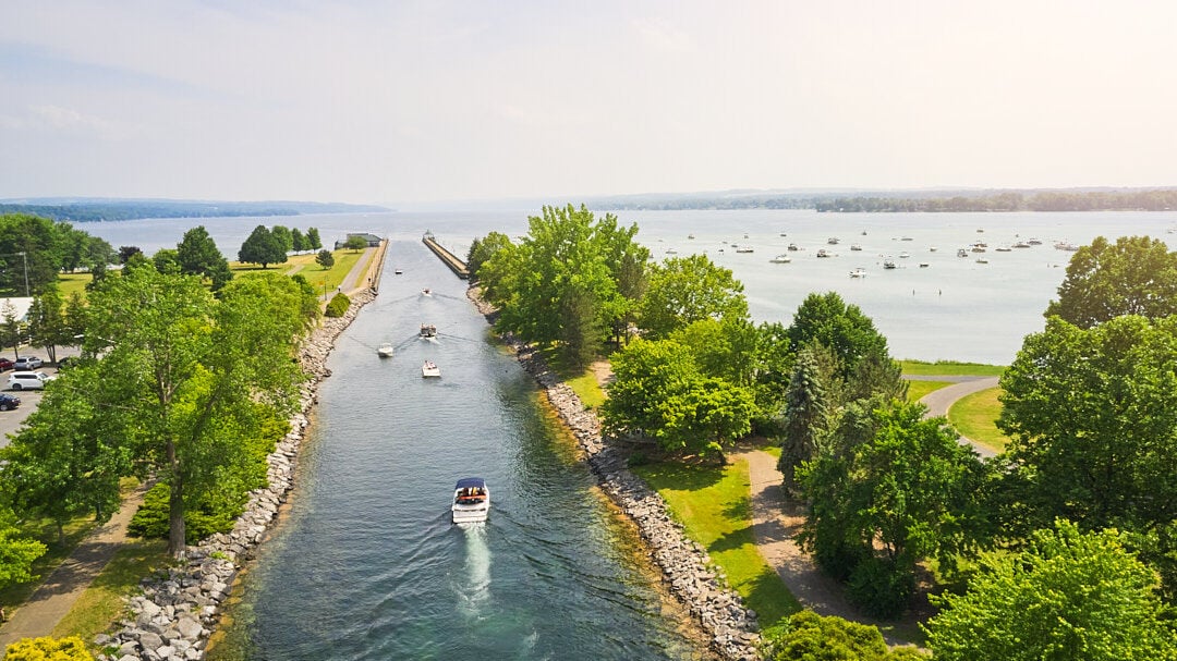 Cayuga.jpg
