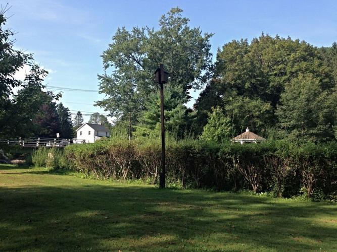 Marcellus Park changes over time, continues to improve as it approaches