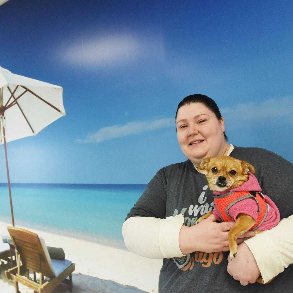 Beach Themed Phoebe S K9 Resort In Seneca Falls Is The Dog S Bark